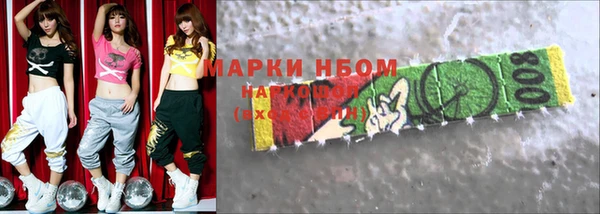 прущие грибы Тавда